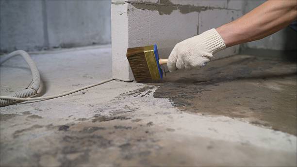 Crawl space vapor barrier installation in Carol Stream, IL